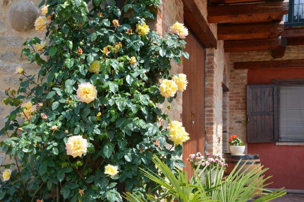 Bossolasco Da Fabiana Bed & Breakfast エクステリア 写真