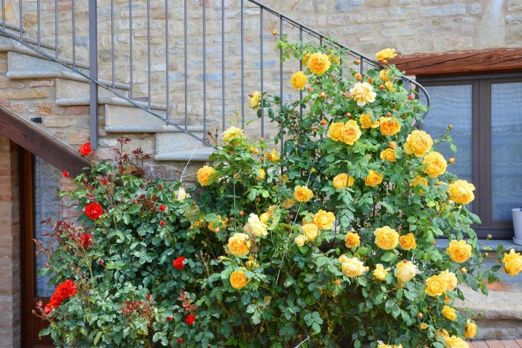 Bossolasco Da Fabiana Bed & Breakfast エクステリア 写真